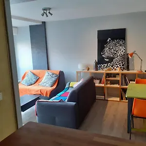  Appartement Centre-ville
